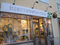 blomsterinspiratren-webb