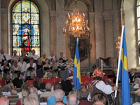 nationaldagen-i-vaxholms-ky